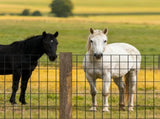 Farm Fence, 122cm x 15.2m, 2 x 4 in Mesh 14 Gauge Galvanized Steel Wire Fencing for Cattle, Hog & V952-JSGSWL48IN50UQH44001V0