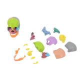 New Anatomy Skull Model 15 Parts Human Anatomy Exploded Skull Detachable Palm-Sized Mini Human Color V1366-AZ2-W-10527