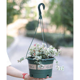Garden Hanging Pot Plastic Hanging Flower Pot Plant Hanger with Hook V1294-YM0718-10171289