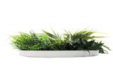 Slimline Artificial Green Wall Disc Art 50cm White Grassy UV Resistant V637-DP9851