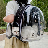 Panoramic Ventilated Side-Opening Pet Backpack Dual Opening Design, Breathable Travel Carrier for V1385-CWB-WU-917-003
