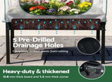 Green Fingers Elevated Metal Garden Bed Kit w Mini Greenhouse Cover 116x60cm Stand-Up Height Trellis GARDEN-AG-80-COVER
