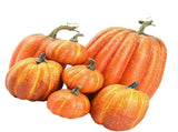 7pcs Simulated Pumpkin Glossy Paint Lightweight Creative Reusable Foam Pumpkin for Decoration Prop V1294-YM0901-3115240060512