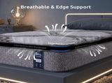 Levitex King Single Mattress 34 cm 5-Zone Pocket Spring with Latex & Memory Foam or Extra Lumbar & MATTRESS-LV-VELA-34-KS