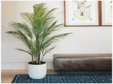 Artificial Palm Tree In Ribbed Pot 2M V178-68925