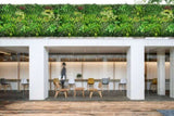 YES4HOMES 1 SQM Artificial Plant Wall Dcor Grass Panels Vertical Garden Tile Fence 1X1M Green V278-1-X-CCGA074-GREENPLANT