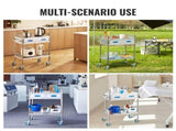 Lab Serving Cart, 2 Layers Stainless Steel Utility Rolling Cart, Medical Cart with Two Drawers, V952-SYSST42014302PL3ZV0