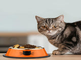 6 Pcs Cat Bowls for Food and Water Dishes Stainless Steel Pet 7 oz Anti Slip Metal Dish with V1259-DP01-A-1155