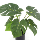 Potted Artificial Split Philodendron Plant With Real Touch Leaves 35cm V77-8870011