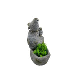 Perched Birds On Stones Planter w Hole Plug 40cm V637-49480BRD
