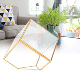 Gold Geometric Shape Succulents Plant Flowerpot Glass Planter Landscape Home Table Decoration V1294-YM0901-3112200036011
