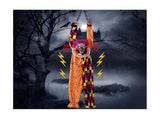 5.6 Ft Halloween Hanging Animated Talking & Shaking Scary Clown with Chain, Touch Activated for V1366-AZ2-W-17878