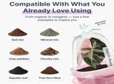 Self-Watering Square Seedling Pot with Adjustable Humidity Dome Semi-Transparent Pink Plastic V1341-ZY-SX33ZBRR-12PCS
