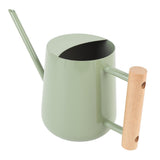 Watering Can Stainless Steel Watering Pot with Wooden Handle for Succulents Plant Type 2 V1294-YM0901-3111250034512