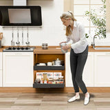 CARLA HOME 2 Pack Pull Out Cabinet Organizer Expandable for Cabinets with Adjustable Slide Out LSB-36208