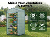 Green Fingers Greenhouse 4 Tiers Mini Green House Garden Bed 1.6x0.7x0.5M GH-MINI-4T-GR