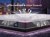 Levitex Double Mattress Lumbar Support, 5-Zone Pocket Springs & 2-Row Hardened Edges for Deep Sleep, MATTRESS-F-CORE-30-D