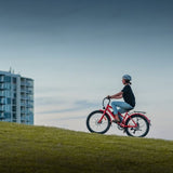 VALK Electric Bike eBike Ladies e-Bike Motorized Bicycle Battery Womens 36V 250W V219-TRNEBKVLKAVS1