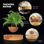 GOMINIMO Magnetic Levitating Plant Pot Oak V227-3720101000560