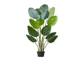 Artificial Bird of Paradise 1829 mm Tall, Fake Tropical Plants with with 13 Trunks & White Pot, Faux V952-RZRDZWTTNZL6CG3Q9001V0