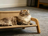 Curved Wooden Cat Lounge Chair with Sisal Scratching Surface Hammock-Style Pet Bed for Indoor V1341-ZY-XMLTHBH6