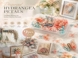 Dreamy Gradient Preserved Hydrangea Bulk DIY Craft Flower Pack 9 Boxes 5g Per Box V1221-XM-LB806-ZS19