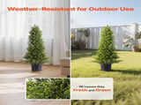 Artificial Topiary Cedar Trees, 2 Set 914mm Faux Pine Shrubs Plants, Fake Silk Tree Look Real, Easy V952-XSRGXJS36YCXDIEET001V0