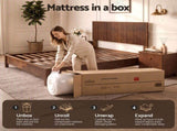 Giselle 25cm Queen Hybrid Mattress Soft Knitted Fabric Edge Support Gel Foam MATTRESS-B-HAVEN-25-Q