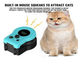 Interactive Electric Cat Teaser Toy with Remote Control, Feather Attachment, and Simulated Mouse V1341-ZY-2WBJPBNC-BLUE