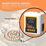 Automatic 35 Egg Incubator - Electric Digital Turning Chicken Quail Duck Hatching V238-SUPDZ-41058148679760