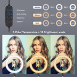 11.8 Led Ring Light With Tripod And Phone Clamp - 3 Modes Dual Colour Temperature Curved Surface V562-B8903TKP
