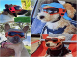 Dog Sunglasses Medium Breed, Dog Goggles UV Protection, Cycling Eye Protection for Large Dogs, V1192-AZ-W-6333