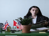 Lightweight Plastic Flag Holder Stand for Small Flags, Perfect Indoor and Outdoor Flagpole Accessory V1192-AZ-W-22441
