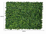 Jasmine Hedge Screen Green Wall Panel UV Resistant 100cm x 100cm V637-DP1004628
