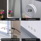 10x Magnification Mirror with Smart Touch Control and 3 Colors Dimmable Light for Bathroom and V178-30001