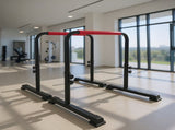 Powertrain Height-Adjustable Dip Bars Pair Load Capacity 200kg Separated Type DIP-RCK-IPR-006
