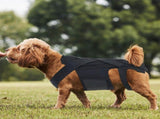 Adjustable Dog Back Bracer Support and Comfort for Your Furry Friend Flexible Dog Vest Aid Recovery V1370-AZ4-00341