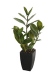 46cm Potted Zanzibar V77-1018542