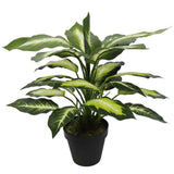 Leopard Lily with Pot 40cm V637-DP1890004