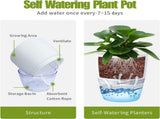 3 Pack White Indoor Self Watering Planter Pot - 6 Inch Double Layer Rempvable Plastic Flower Pot V888-ELOSUNG55169-1