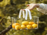 Clear Hand Basket Comfortable Handle Ventilation Holes Easy Access Versatile Fruit Storage Basket V1294-YM0521-3117230074511