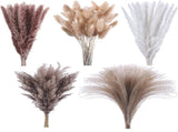 120 Pcs Dried Pampas Grass 17 Inch White Pompas Bouquet Fluffy Dry Pompous Bunny Tails Flower Small V1188-WTJ-SJH-1113