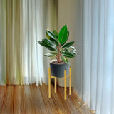 Metal Plant Stand Adjustable Indoor V63-916221