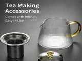 25 oz Glass Teapot with Infuser, Stovetop Safe Tea Kettle, Heat Resistant Borosilicate Glass, Works V1370-AZ4-15985