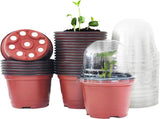 25 Pack Seedling Pots with Lids 9x14cm Reusable Mini Greenhouse Grow Trays for Propagation V1258-DP02-BOL-805
