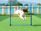 Dog Agility Training Equipment, 4 PCS Set with Adjustable High Hurdles,6 Weave Poles,Jump V952-TYKMJKCTJJCKST31JV0
