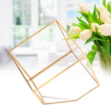 Gold Geometric Shape Succulents Plant Flowerpot Glass Planter Landscape Home Table Decoration V1294-YM0901-3112200036011