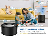 2 Pack HEPA Replacement Filter, Compatible with TaoTrics TT-AP001 and VAVA VA-EE014, 3-in-1 HEPA and V1258-DP02-C-1050