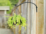 2 Pack Iron Hanging Plant Holder, Simple Wall Plant Hanger V1237-ZY-715-226