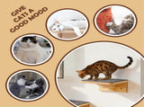 Set of 2 Cat Wall Shelves, Wooden Climbing Steps for Wall Mount, Ideal for Living Room and V1237-ZY-924-093